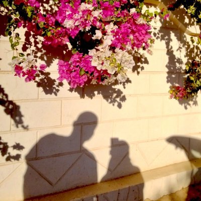 fatimaelsaka19's profile picture