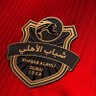 🇦🇪مهدي محمد ❤💚 的头像