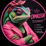 Camaleoa de Plantão's profile picture