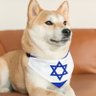 ✝️🇯🇵🇮🇱🍎🌏🕊️❤️🩹あおもりそのみちのもの🐕🐈🎬🎸🎨🍜✨ 的头像