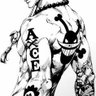 Ace 的头像