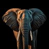 Emile Janse profil fotoğrafı