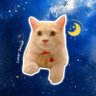 Profilbild von 🌙 +daeng ᵀʰᵒᵐᵃˢˢᵒⁿ
