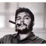 Majeed profil fotoğrafı