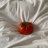 Фото профиля ᵖˡˢTomato ~