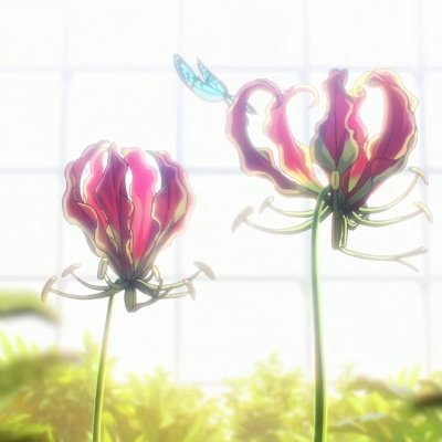 vanil1axbiscuit's profile picture