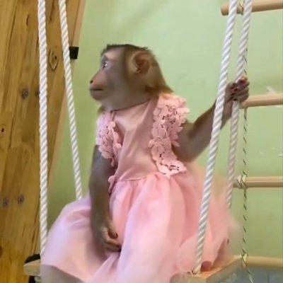 eherildyanii's profile picture