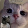Profilbild von MW4