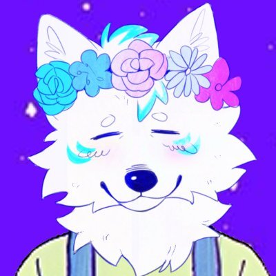 Bra's profile picture