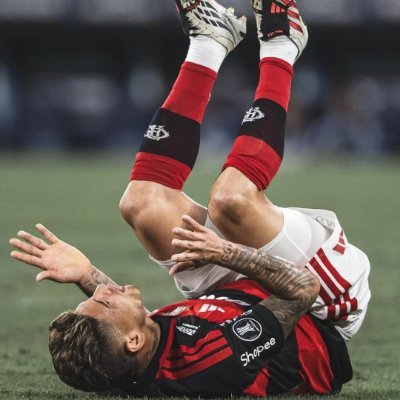 it bagrinho colombiano's profile picture