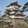 ジュディ profil fotoğrafı