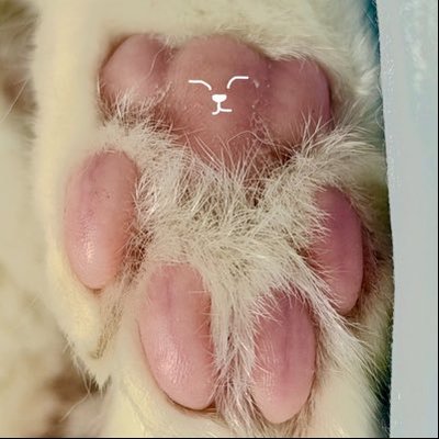 memememe's profile picture
