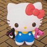 Anique's profile picture