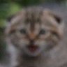 クックキック. 0.🤍🤍 profil fotoğrafı