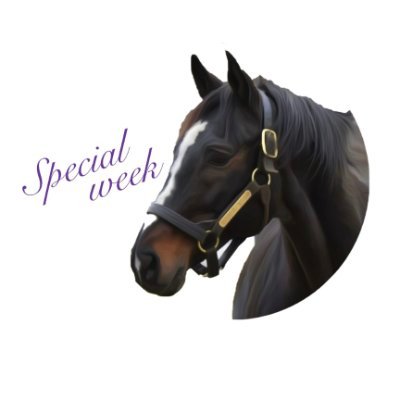 specialweeklove's profile picture