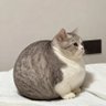 diego's profile picture