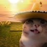 Profilbild von crafder