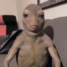 Profilbild von trubgo thursday
