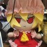 ぢゃんぬ・だるく's profile picture