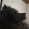 Daniel profil fotoğrafı