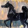 أيمن بن علي 🐎🇸🇦's profile picture