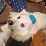 Profilbild von ありえり