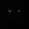 ~Rutba's profile picture