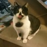 snow's profile picture