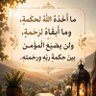 أبوعبدالعزيز's profile picture