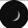 Neon Orbit's profile picture