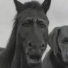The Atanki Mallu's profile picture