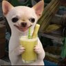 Jishan25's profile picture