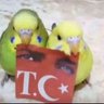 sağır sıvısabuncuoğlu's profile picture