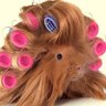 Profilbild von Mimi