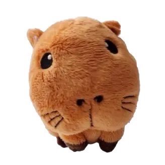 notgonnaluv's profile picture