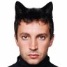 .størmy ⊬ (clancy kitty ceo)'s profile picture