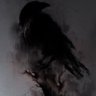 Profilbild von Black Bird