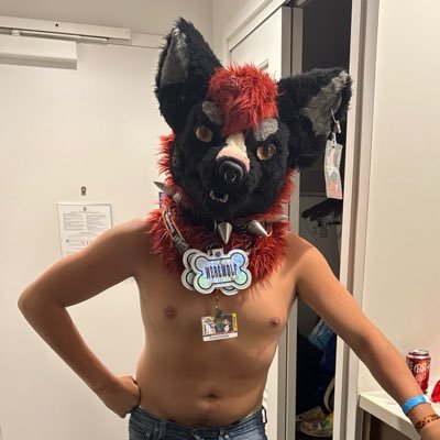 funwolfyboi's profile picture