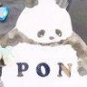 Фото профиля ペンライトを忘れないあさ