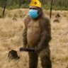 Alien from Mars profil fotoğrafı