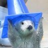 fluffyfaii ,𝓦𝓸𝓻𝓹𝓸𝓻's profile picture
