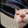 Logical Dev's profile picture