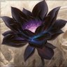 Vex.lotus 🪷's profile picture