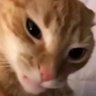Twinx profil fotoğrafı