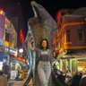 Didar Duman's profile picture