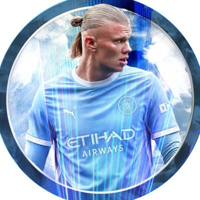 Erling Haaland's profile picture