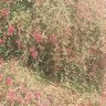 Profilbild von محمد