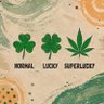 420抽了就發帖 的头像