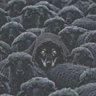 Rios's profile picture