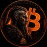 Bitcoin Viking's profile picture